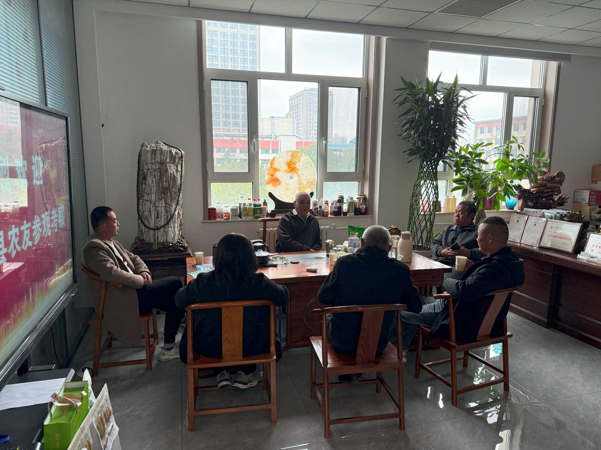 连续降雨致使小麦种植推迟 晚播小麦要怎么种